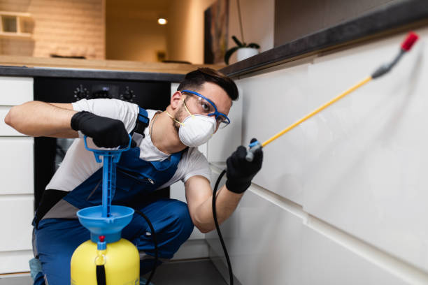 Best Rat Extermination Near Me  in Greenville, NC