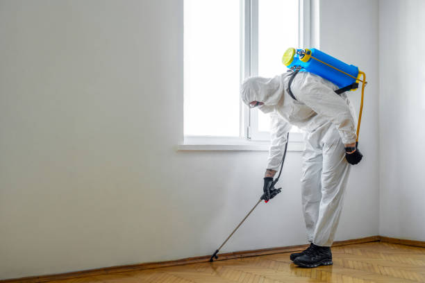 Wasp Removal Services in Greenville, NC
