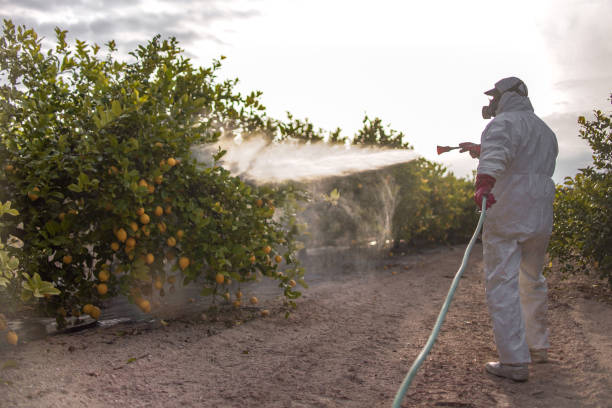 Best Commercial Pest Control Services  in Greenville, NC