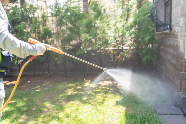 Best Cockroach Control Services  in Greenville, NC