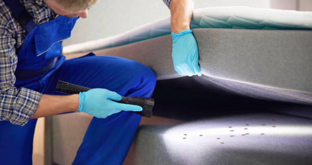 Pest Control Cost in Greenville, NC